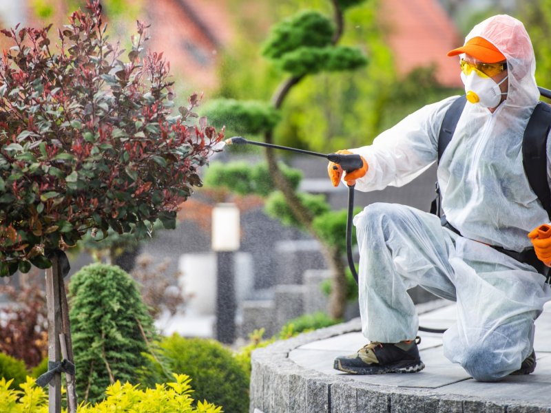 Gevaş Haşere İlaçlama